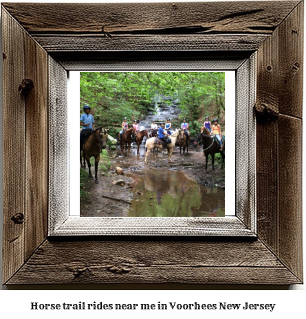 horse trail rides near me in Voorhees, New Jersey